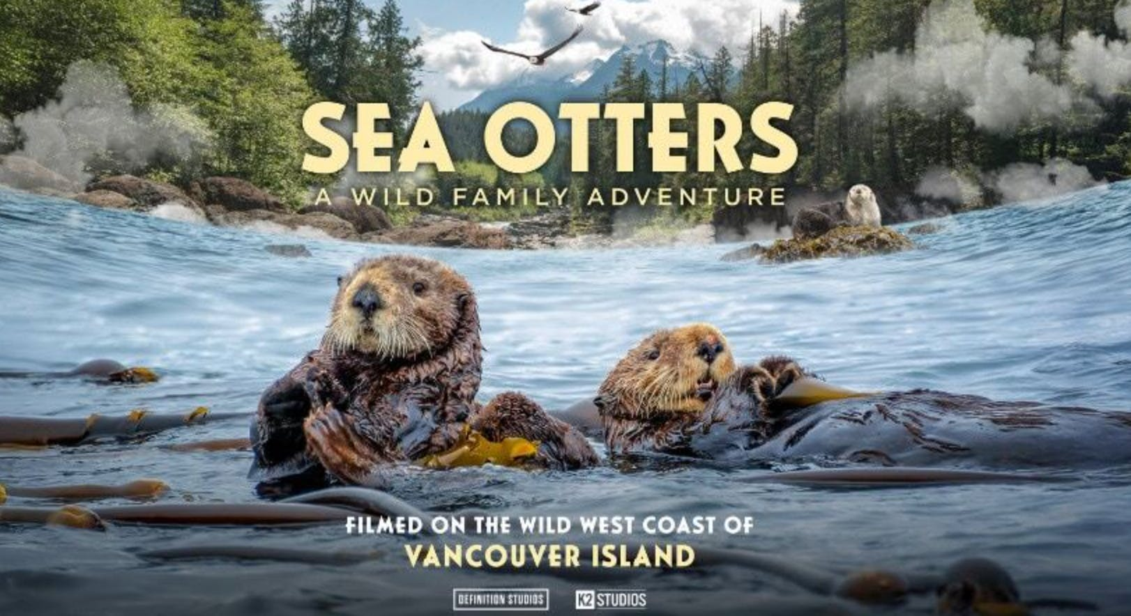 Simons Theatre: Sea Otters – A Wild Family Adventure - Photo 1 of 5